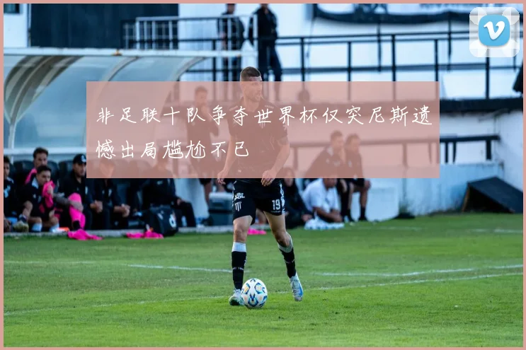 非足联十队争夺世界杯仅突尼斯遗憾出局尴尬不已